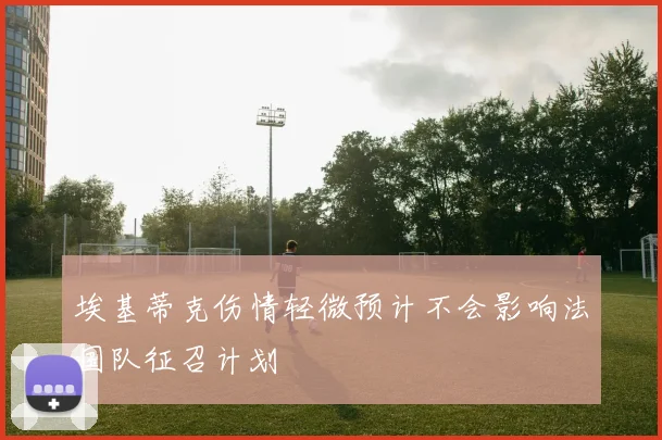 埃基蒂克伤情轻微预计不会影响法国队征召计划