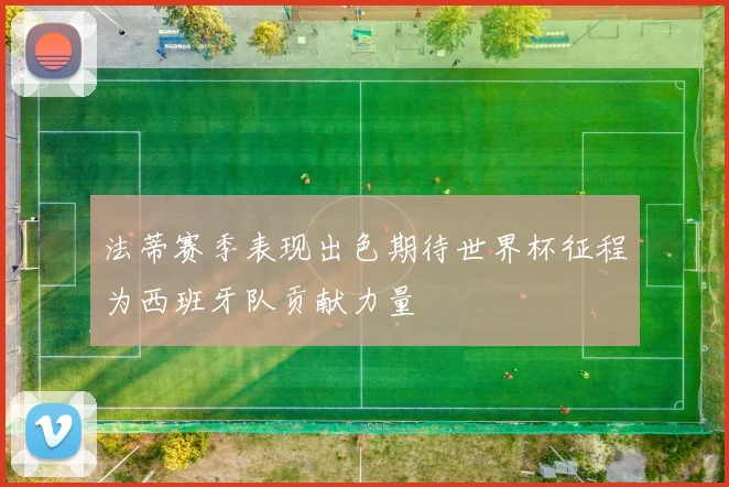 法蒂赛季表现出色期待世界杯征程为西班牙队贡献力量
